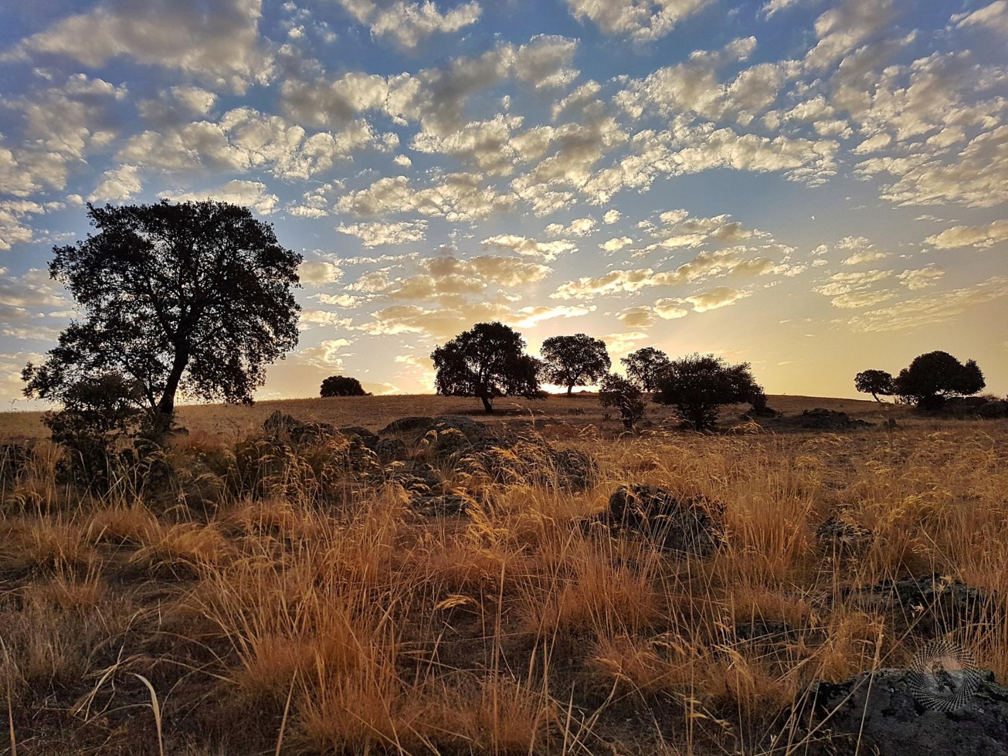 Despoblación campo Extremadura